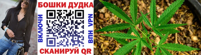 купить Корсаков МАРИХУАНА Amnesia